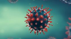 Cancer-Fighting Virus to Be Studied in Pancreatic Cancer Subtype