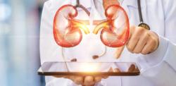 Telaglenastat-Cabometyx Combination May Not Improve Survival in Pretreated Kidney Cancer Compared With Cabometyx Alone