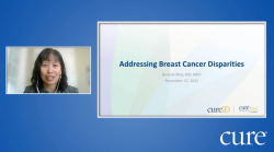 Educated Patient® Metastatic Breast Cancer Summit Addressing Breast Cancer Disparity Presentation: November 12, 2022