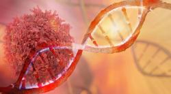 Tumor DNA May Predict Outcomes to Presurgical Treatment in Patients with Bladder Cancer