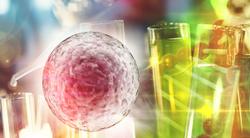 Trial to Compare Safety and Efficacy of Novel Cell Therapy to Standard of Care in Patients With Rare Blood Cancers