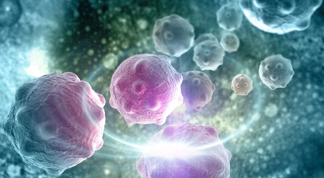 Maintenance Darzalex Regimen Promising in Post-Transplant Myeloma - Vimarsana News