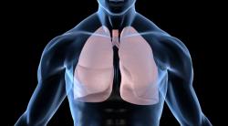 Imfinzi-Based Treatment Before, After Surgery May Significantly Improve Survival in Resectable NSCLC