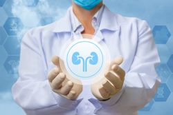 Lenvima-Keytruda Continues to Show Benefit in Advanced Kidney Cancer