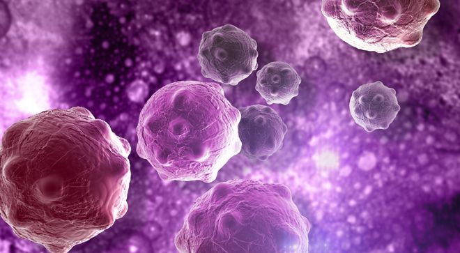 Frozen Stem Cell Grafts Linked to Higher Relapse Rates in Blood Cancer Frozen Stem Cell Grafts Linked to Higher Relapse Rates in Blood Cancer