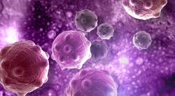 Frozen Stem Cell Grafts Linked to Higher Relapse Rates in Blood Cancer