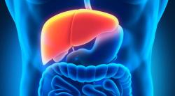 Novel Liver Cancer Drug Shows ‘Promising’ Improvements HCC