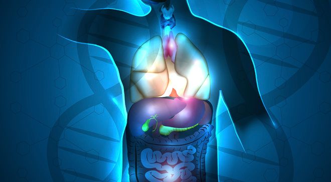 Novel Gastric Cancer Drug Under FDA Review Improves Survival - Vimarsana News