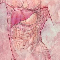 Novel Drug-Chemo Combination Improves Outcomes for Advanced Gastric Cancers