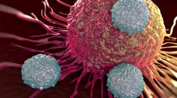 Study Will Analyze Imetelstat-Jakafi Combination for Myelofibrosis