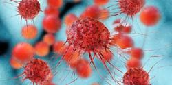 An ‘Equal Playing Field’ Makes up the Available Treatment Options for CLL