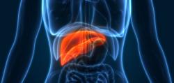 Lenvima May Prolong Survival in Advanced Liver Cancer That Progressed on Immunotherapy