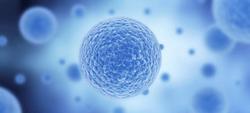 New Myeloma Therapies Are ‘A Huge Improvement for the Field’