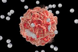 Enhertu Is Promising for Difficult-to-Treat Solid Cancers