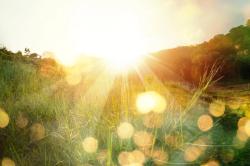 A Ray of Sunshine on the Oncology Ward