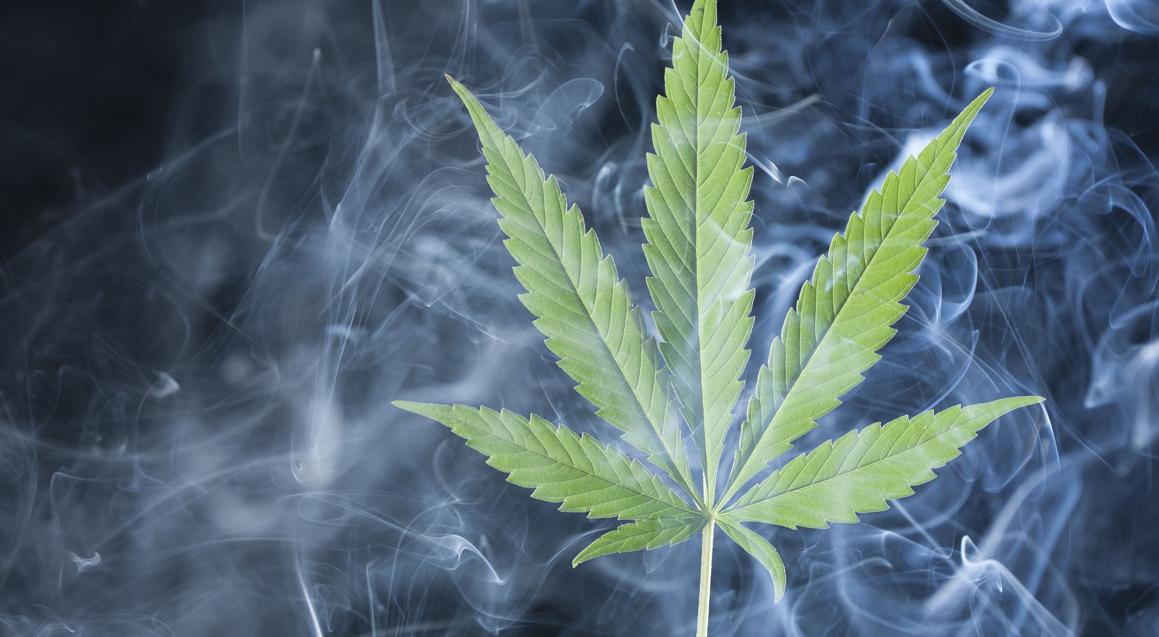 Patient Experiences With Medical Marijuana for Cancer Symptoms - Vimarsana News